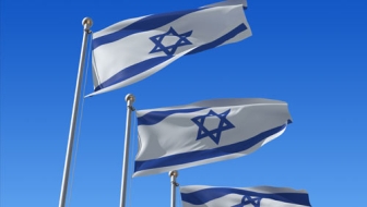 Про одну из составных юридической реформы в Израиле